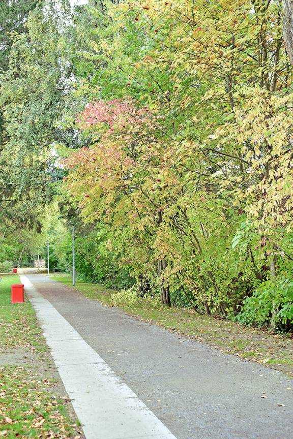 Landschaftsachse Horner Geest Grüner Faden Sturmvogelweg Legienstraße