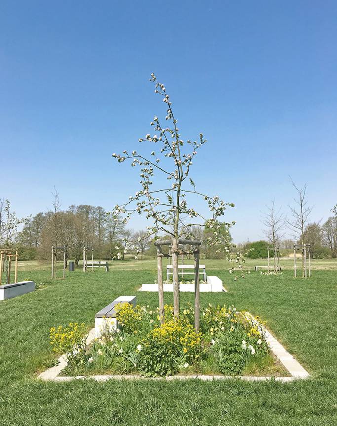 Quartiersplätze Vogelkamp Gartenbeet Apfelblüte