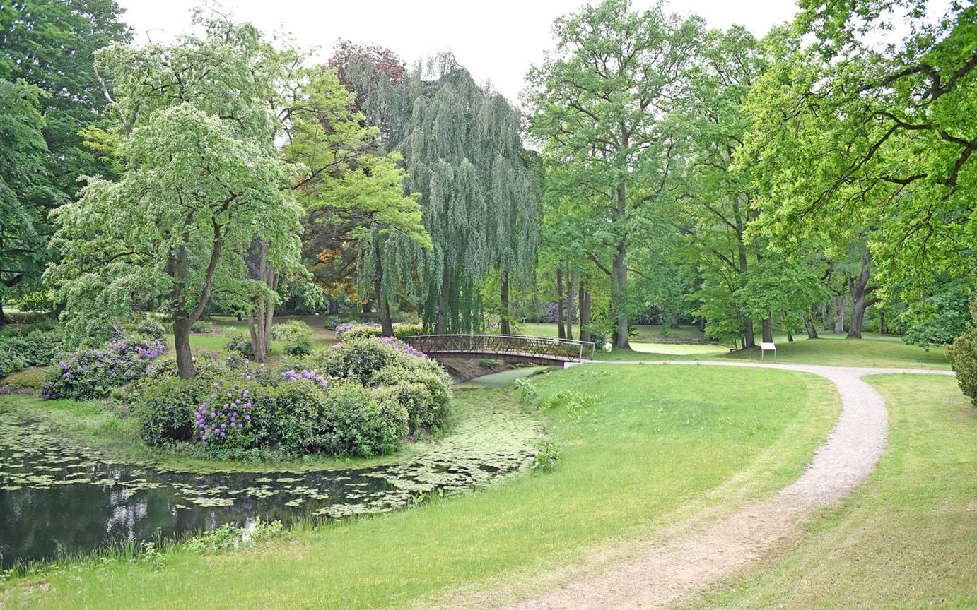 Südteichbrücke Friedhofohlsdorf Blick Südteichinsel Ostseite