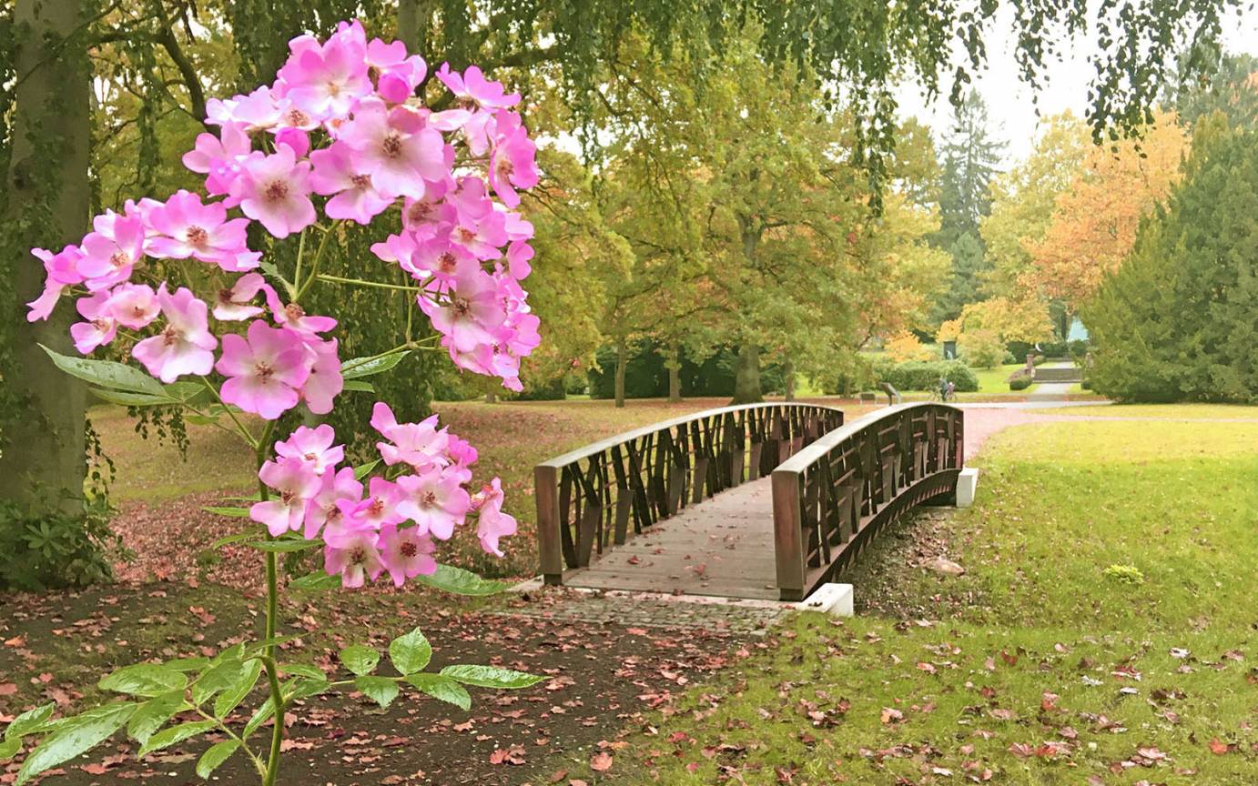 Blick nach Norden Richtung Cordesbrunnen