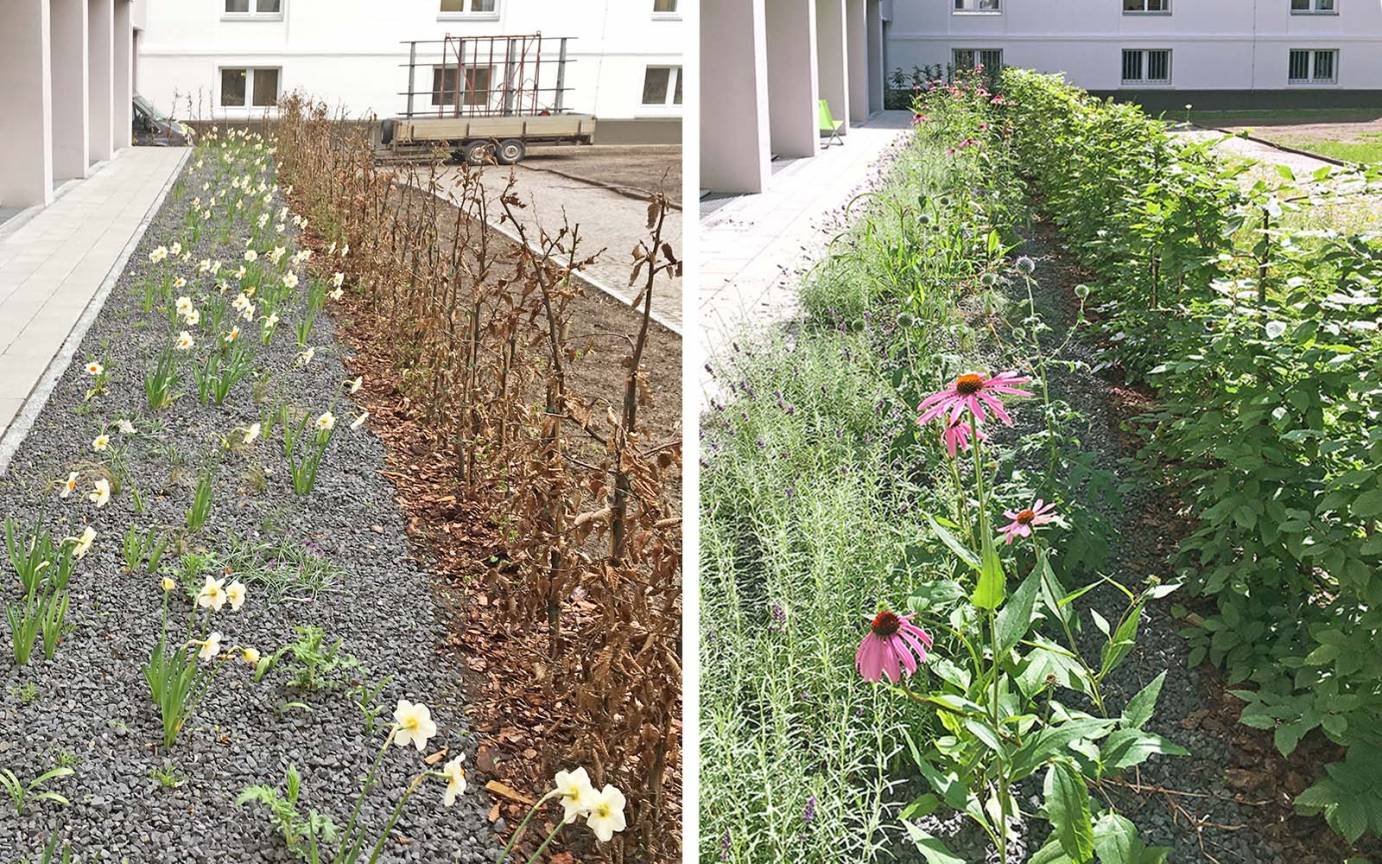 Armgartstraße Frühjahrs- Sommerflor