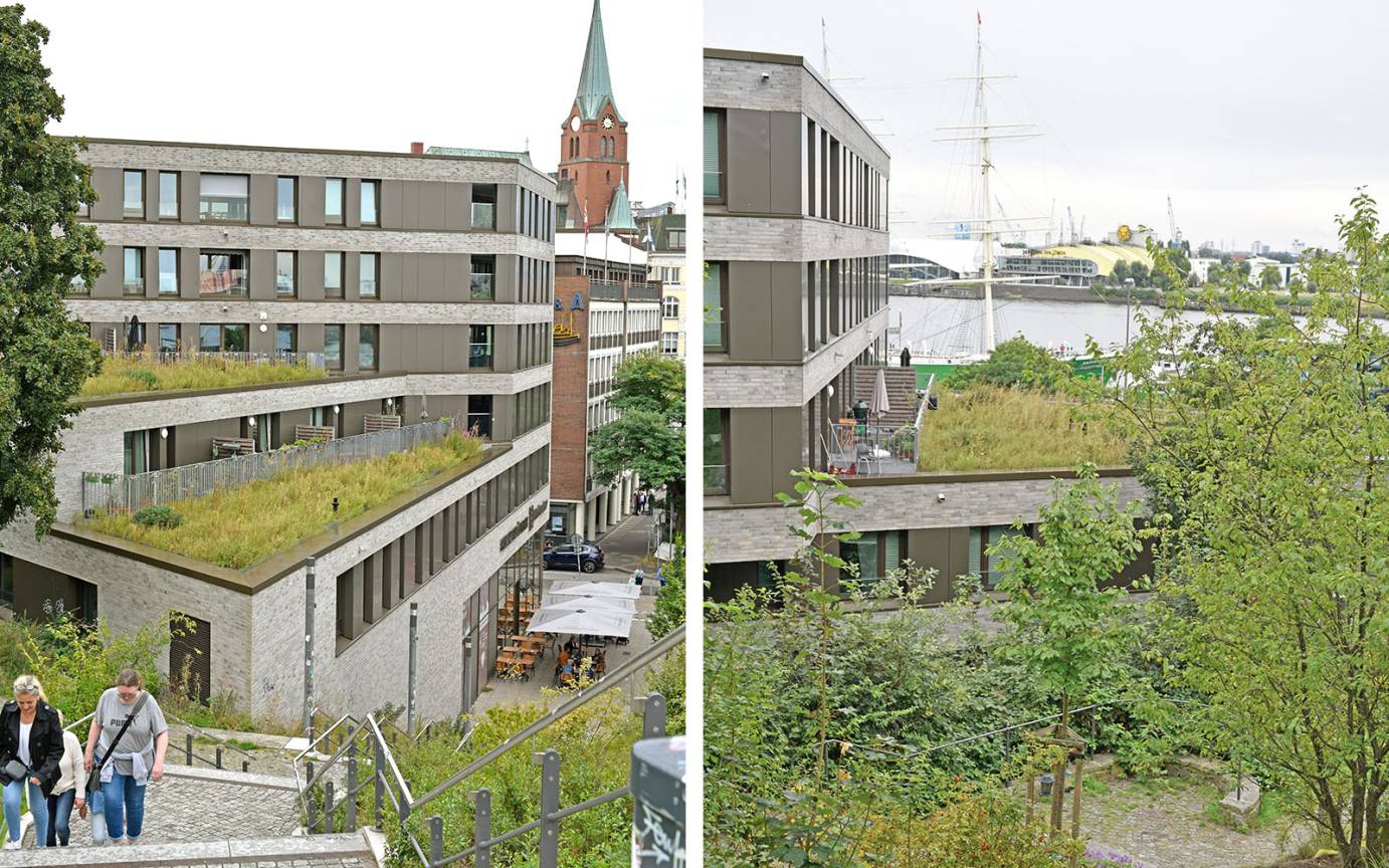 Hafentor Hamburg Landungsbrücken Blick Stintfang Dachflächen