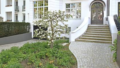 Heilwigstraße Vordergarten Apfelbaum Fuße Eingangstreppe